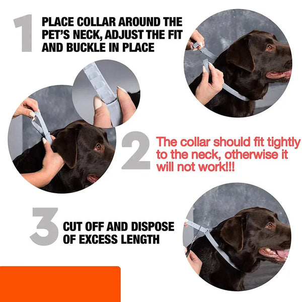 8-Month Flea & Tick Dog Collar Nivora Lux