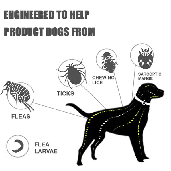 8-Month Flea & Tick Dog Collar