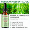 Rosemary Mint Hair Strengthening Oil - Nivora