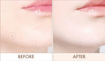 Luna Cream Concealer Grinding Conceal Butter Nivora